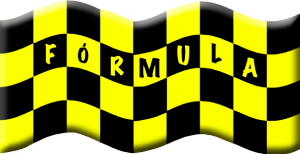 CURSO DE PILOTAGEM DE CARROS DO TIPO FRMULA