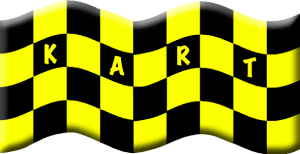 CURSO DE PILOTAGEM DE KART